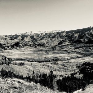 Meet your Posher, Colyer